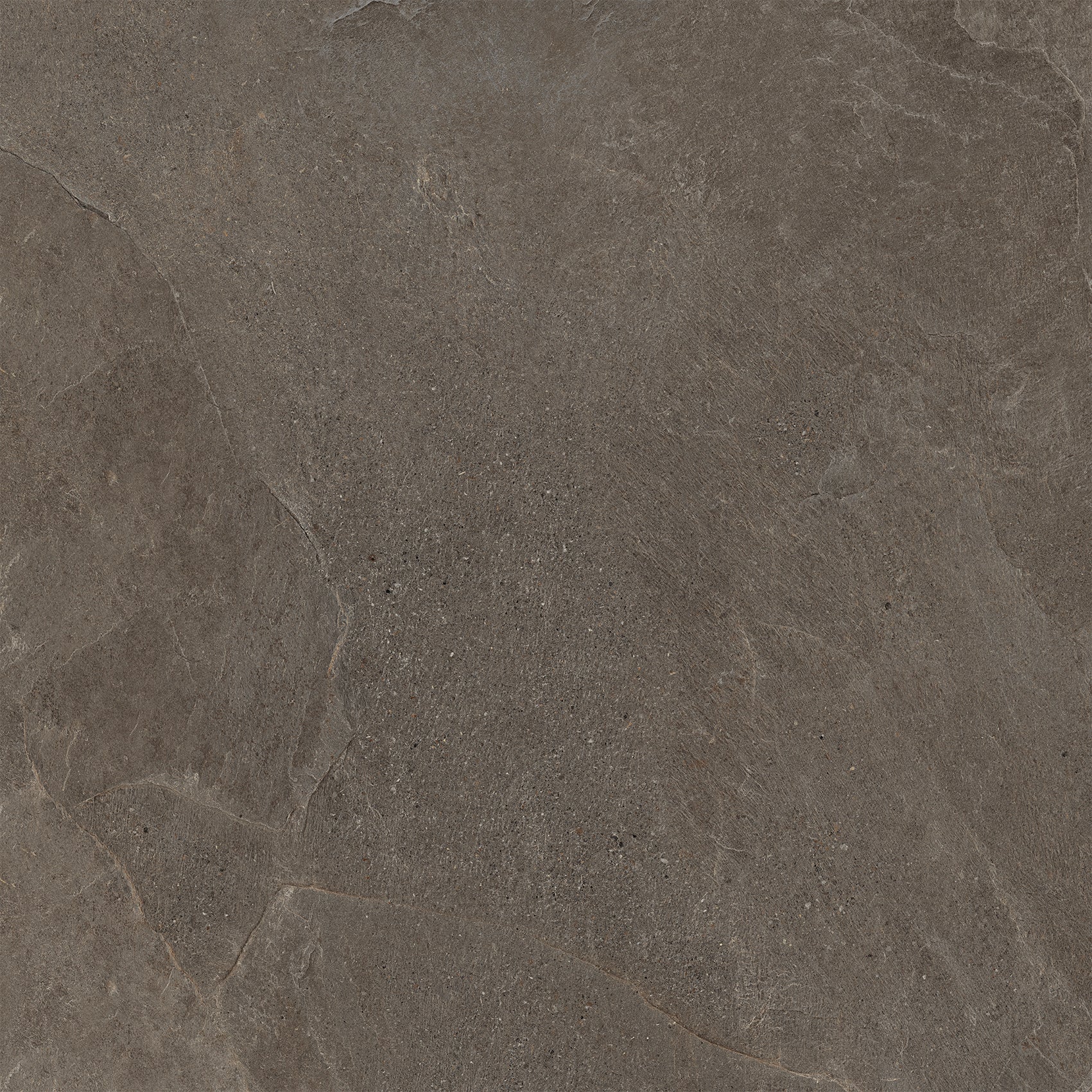 Brown Porcelain Tile in Matte Finish